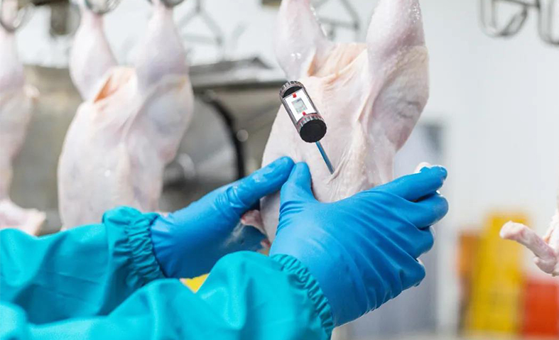 Stake(�й���)�ٷ���վ