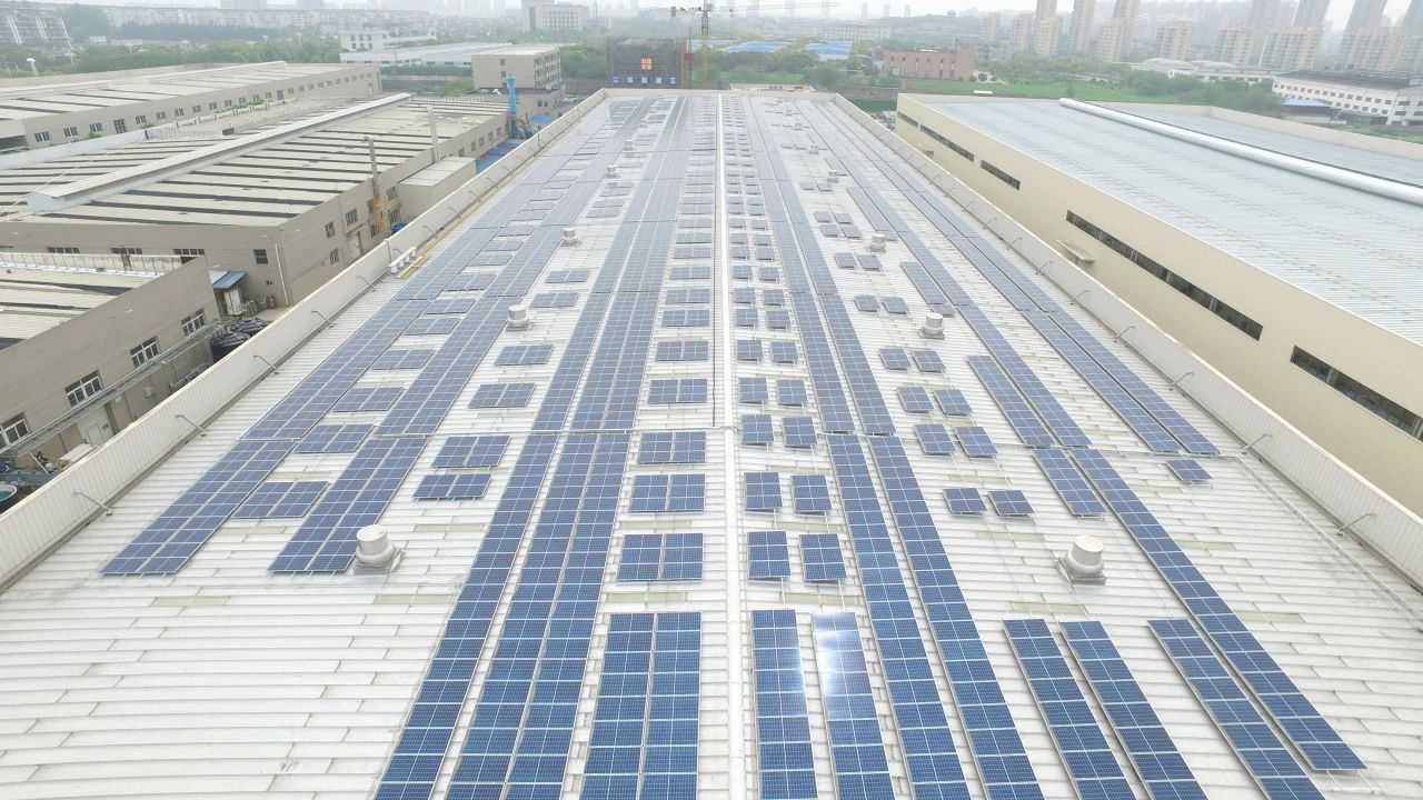 Stake(�й���)�ٷ���վ