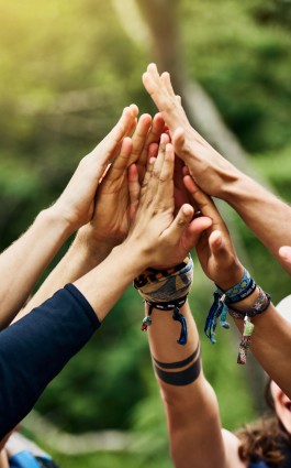 Stake(�й���)�ٷ���վ